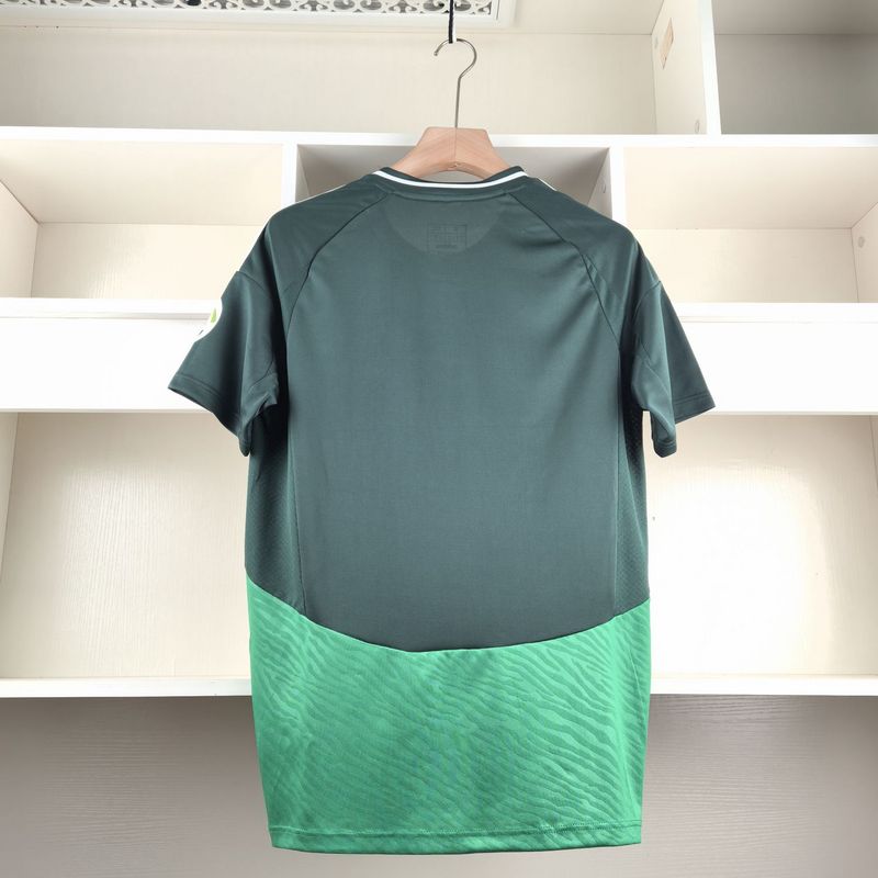 Jersey do Al Ahli Sfc ll 24∕25