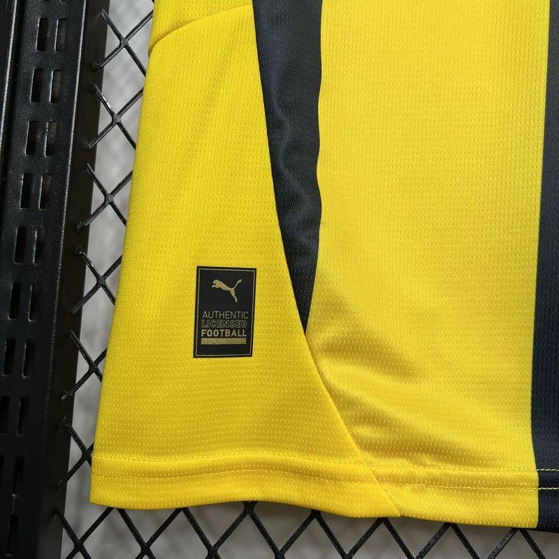 Trikot von Fenerbahce l 24/25