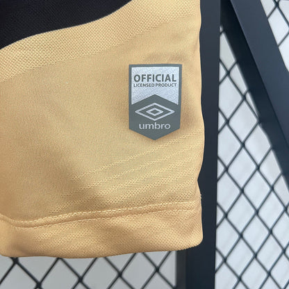 Jersey 24/25 Paranaese Auswärts 