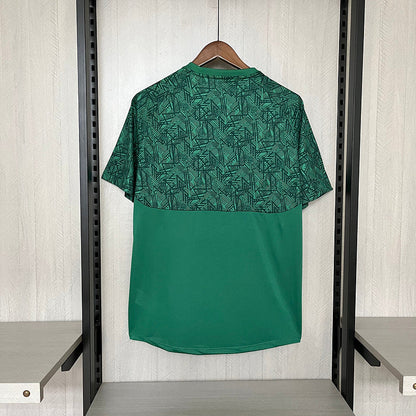 Jersey Fluminense 24/25 Treino Verde